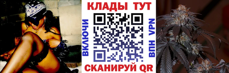 ГАШ Щёкино