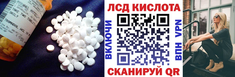 мориарти Telegram  Щёкино  Лсд 25 экстази кислота 