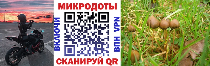 Галлюциногенные грибы прущие грибы  где найти наркотики  Щёкино 