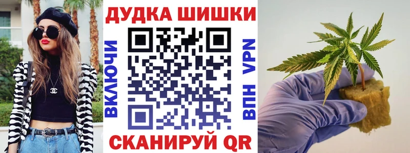 Марихуана сатива  Щёкино 
